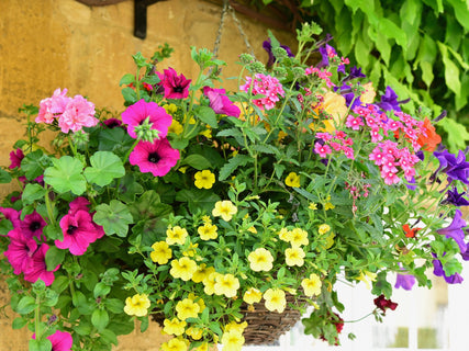 espoma: tips for hanging baskets