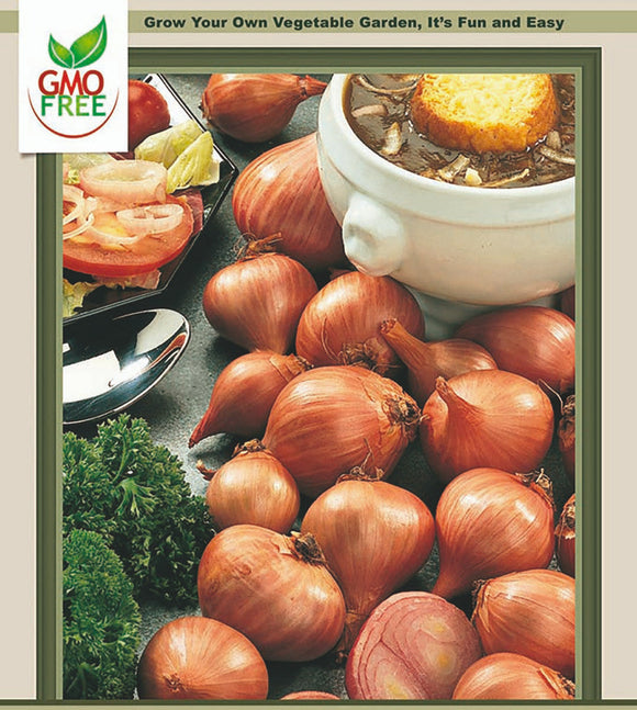 Hirt's Gardens Red Shallots - Preferred by Chefs - 15 Bulbs 9/15 cm (9/15 cm)