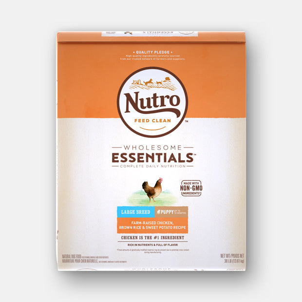 Nutro wholesome essentials outlet large breed