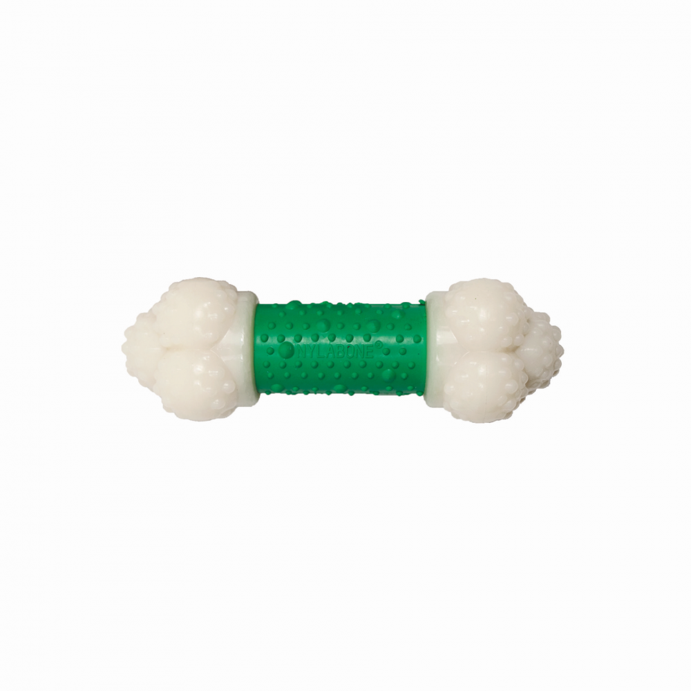 Nylabone dura chew bacon hotsell