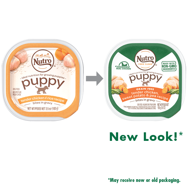 Nutro Grain Free Bites in Gravy Puppy Wet Dog Food Tender Chicken Sweet Potato Pea Recipe 3.5oz