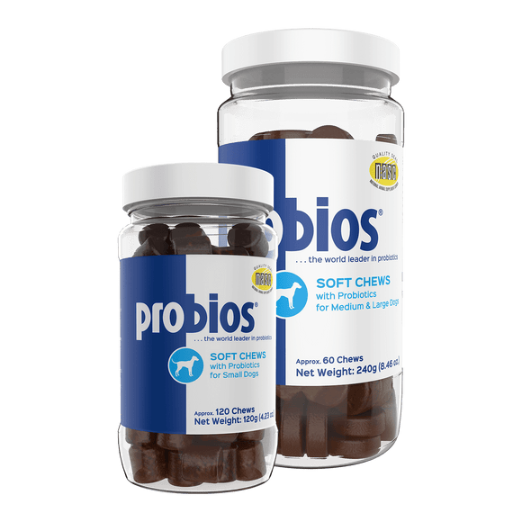 Probios® Soft Chews with Probiotics
