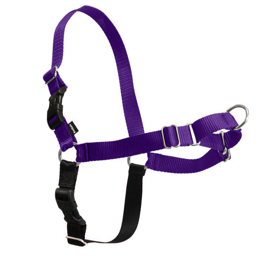 Easy lead dog top harness