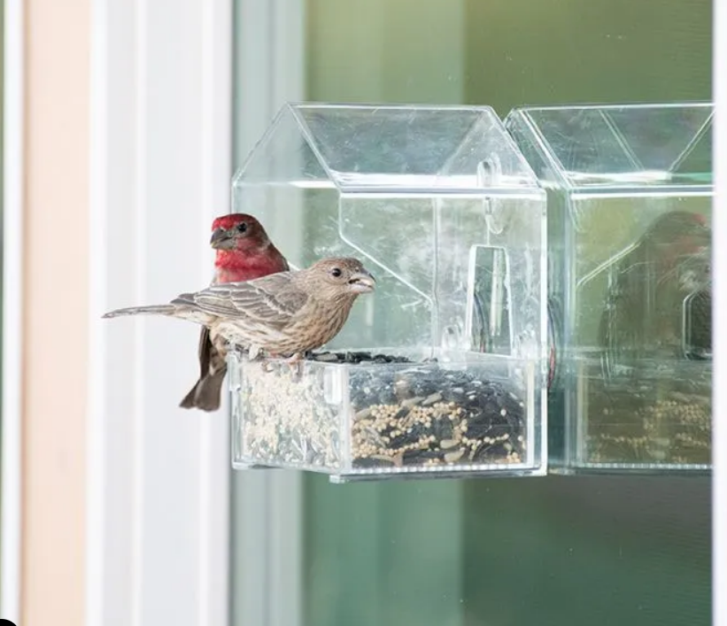  Window Bird Feeder