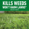 Roundup® for Northern Lawns