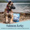 Otis Wild Things Salmon Recipe Jerky For Dogs