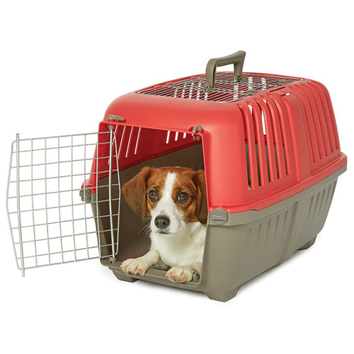 MidWest Spree™ Top Loading Pet Carrier (24 Blue)