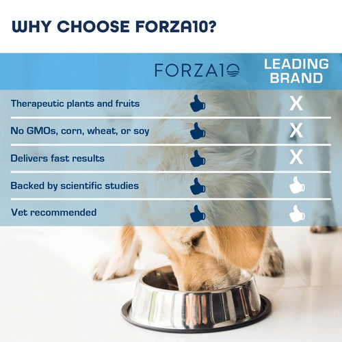 Forza10 Nutraceutic Legend Skin Icelandic Fish Recipe Grain-Free Canned Dog Food