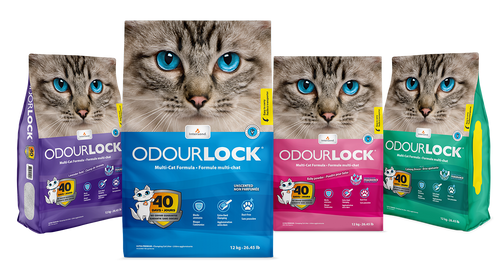 Intersand OdourLock Cat Litter 25lb