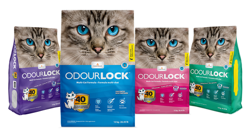 Intersand Odourlock Ultra premium multi-cat litter formula (25 lb - Unscented)