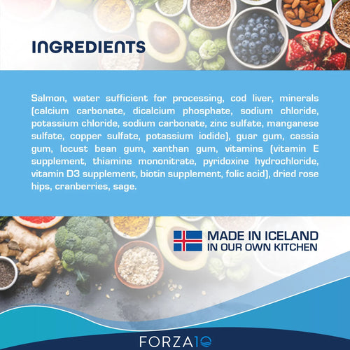 Forza10 Nutraceutic Legend Skin Icelandic Fish Recipe Grain-Free Canned Dog Food