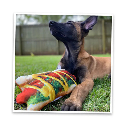 Doggijuana Get the Munchies Refillable Hot Dog Toy