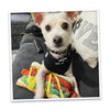 Doggijuana Get the Munchies Refillable Hot Dog Toy (‎6L x 2.5W x 11H)