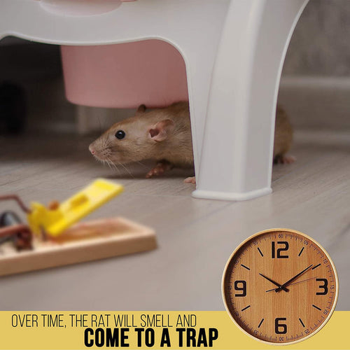 Harris Wooden Rat Trap (Single)