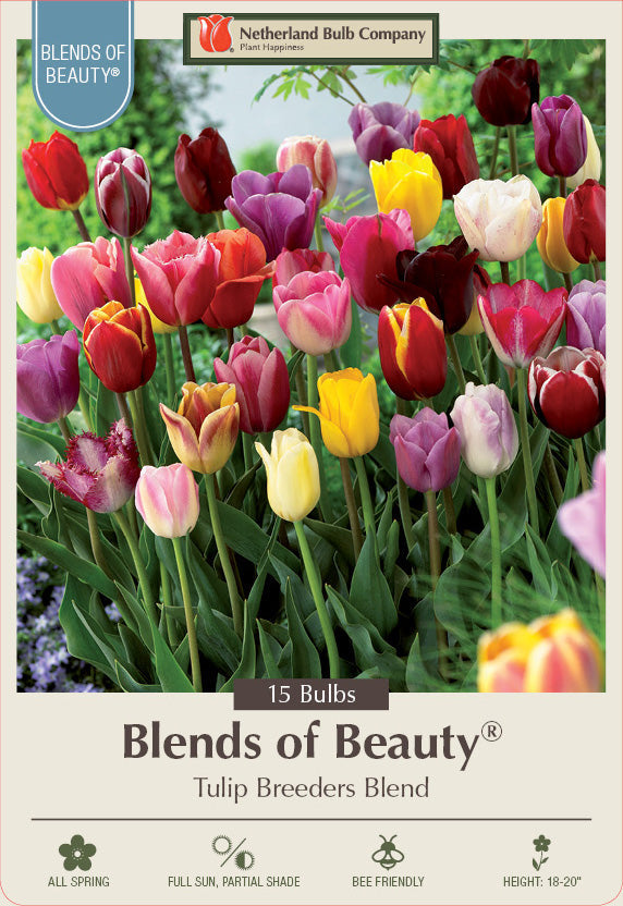 Netherland Bulb Company Blends of Beauty® Tulip Breeders Blend