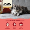 ACANA Highest Protein Indoor Cat Recipe