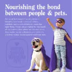 NutriSource Grain Free Peanut Butter Little Bites High-Quality Dog Training Treats