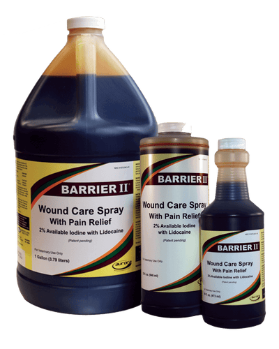 Aurora Pharmaceutical Barrier II® Wound Care with Pain Relief