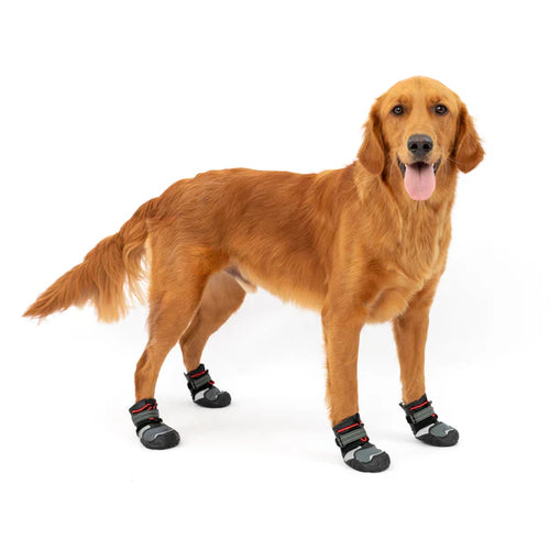 Kurgo Blaze Dog Boots