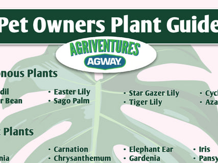 Pet Owners plant guide