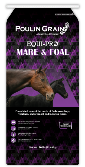 Poulin Grain EQUI-PRO® Mare & Foal (50 lbs)