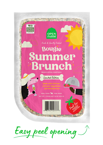 Open Farm Bougie Summer Brunch Gently Cooked for Dogs (16 oz)