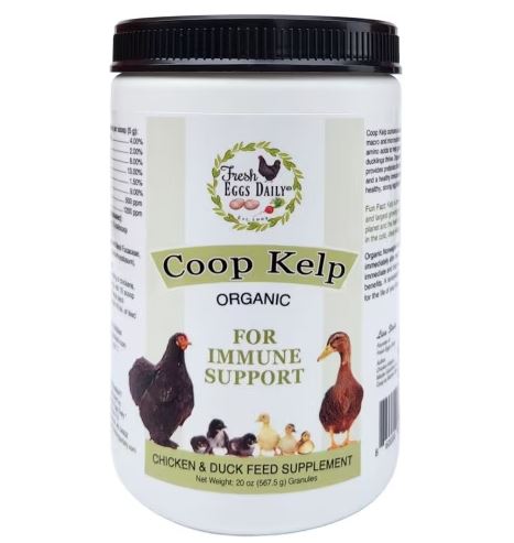 Fresh Eggs Daily Organic Coop Kelp Poultry Feed Supplements (20 oz)