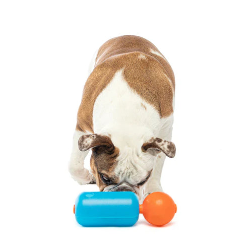 Guru Treat Challenger Dog Toy