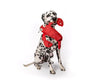 Fabdog Floppy Lobster Dog Toy (Small)