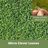 Flawn Seed Kits Micro Clover Eco-Friendly Seeding Kit