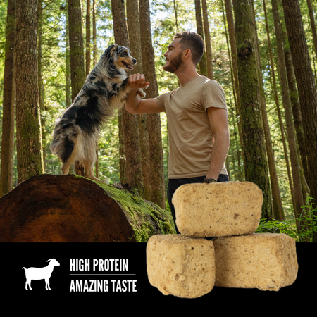 ORIJEN Freeze Dried Tundra Dog Treats