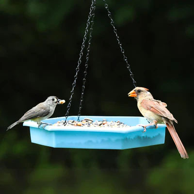 Nature's Way EcoCycle™ Combo Café 2-in-1 Recycled Plastic Bird Feeder and Bird Bath