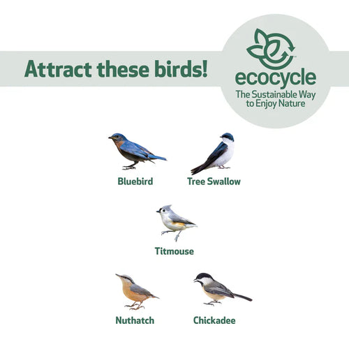 Nature's Way EcoCycle™ Bluebird Bungalow Recycled Plastic Bird House