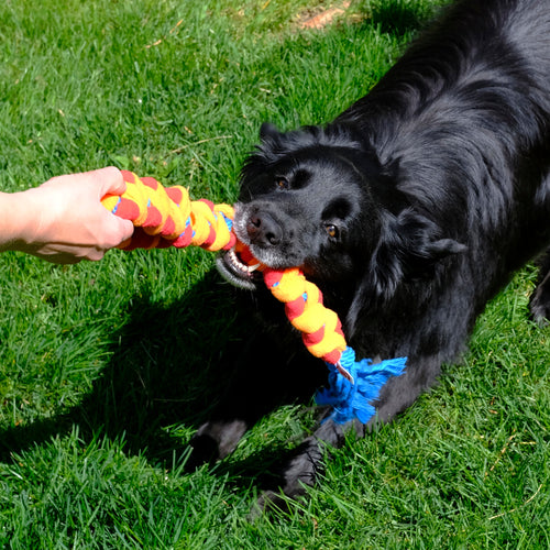 KONG Rope Rally Tug Dog Toy (Medium/Large)