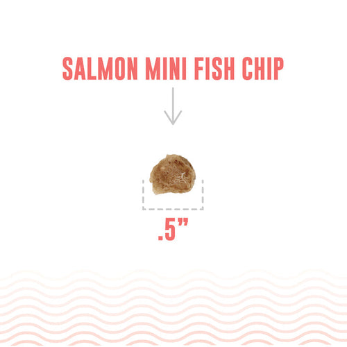 Icelandic+ Salmon Mini Fish Chips Dog Treats