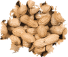 Wild Delight Inshell Peanuts