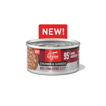 ACANA Chunks & Shreds Salmon & Chicken Entrée Wet Cat Food