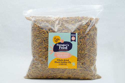 Forager's Feed Whole Dried Black Soldier Fly Larvae