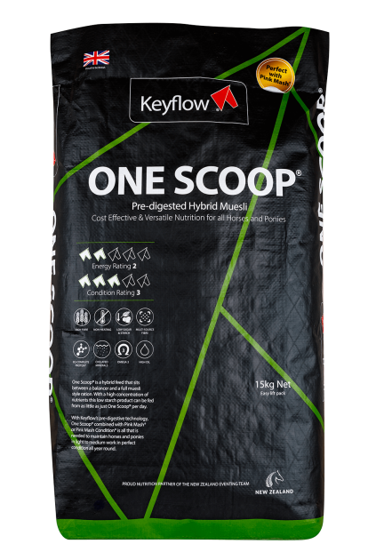 Keyflow One Scoop (15 kg)