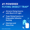 Zevo Flying Insect Trap Refill Cartridges, Fly Trap, Fruit Fly Trap (4 Pack)