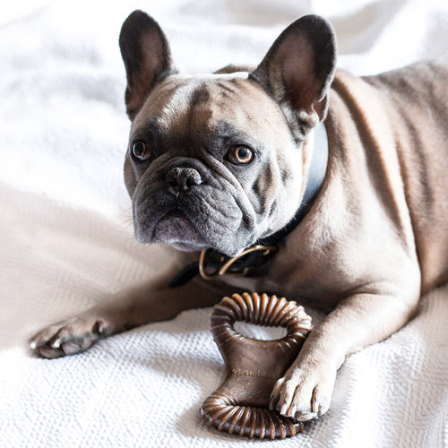 Benebone Peanut Butter Dental Chew