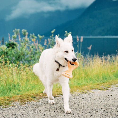 Benebone Chicken Dental Chew