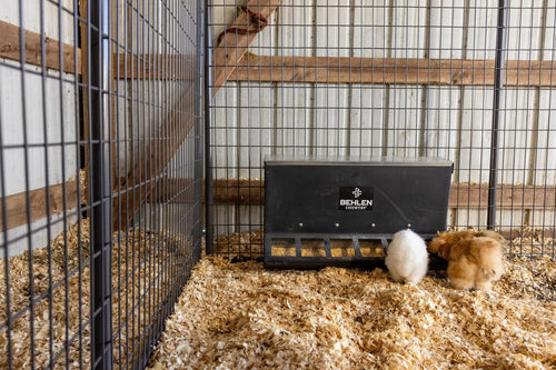 Behlen Country SafeStart Poly Creep Feeder