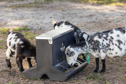 Behlen Country SafeStart Poly Creep Feeder