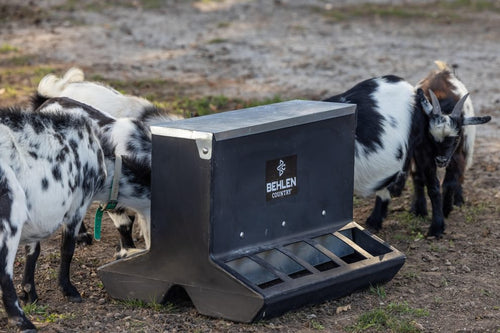 Behlen Country SafeStart Poly Creep Feeder