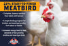 22% Start-To-Finish Meatbird (Non-GMO) (50 Lb.)