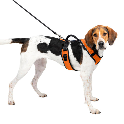 Petsafe EasySport Harness