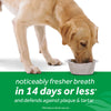 TropiClean Fresh Breath Dental Health Solution Supports Skin Health for Dogs (16-oz)