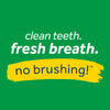 TropiClean Fresh Breath Dental Health Solution Supports Skin Health for Dogs (16-oz)