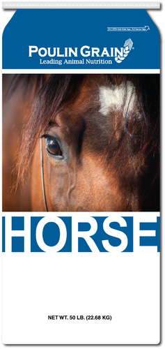 Poulin Grain Forage Extender Super Bites